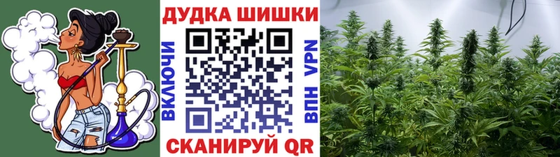 Магазины продажи наркотиков Нерюнгри Гашиш  Марихуана  A PVP  МЕТАМФЕТАМИН  Cocaine  Мефедрон 