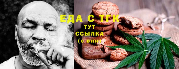 гашик Сосновка