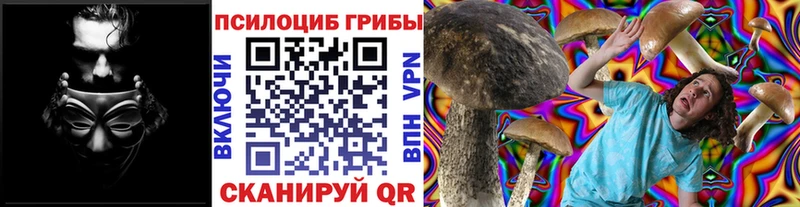 купить   мориарти состав  блэк спрут рабочий сайт  Галлюциногенные грибы Cubensis  Нерюнгри 