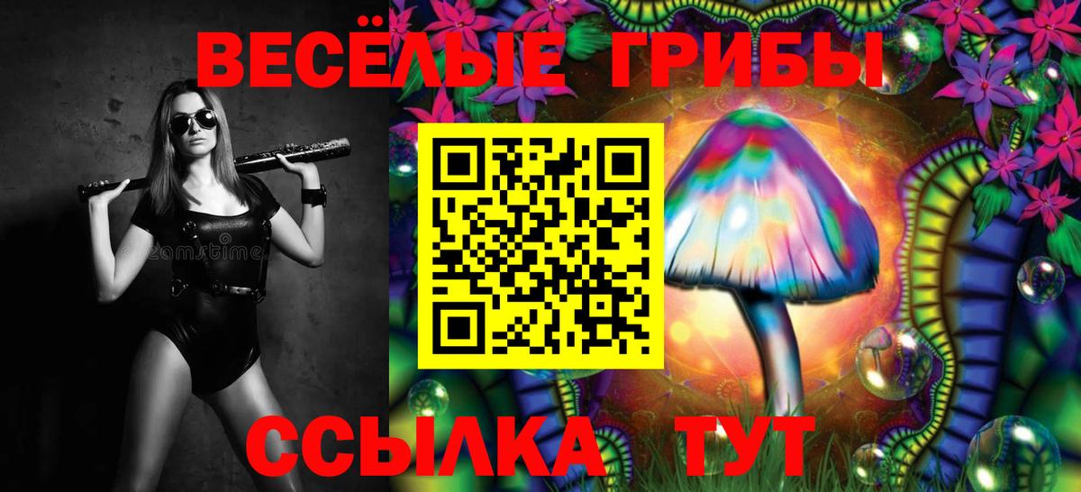 магазин    Вход с VPN  Псилоцибиновые грибы ЛСД  Нерюнгри  Псилоцибиновые грибы MAGIC MUSHROOMS 