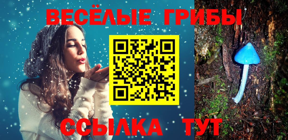 Псилоцибиновые грибы Magic Shrooms Нерюнгри